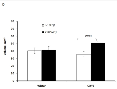 Effect of SkQ1 on thymic involution in Wistar and OXYS rats