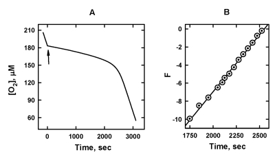  The effect of 5 μM SkQ1H2 on the kinetics of oxygen consumption caused by oxidation of 20 mM ML in micellar solution of 50 mM Triton X-100 in 50mM phosphate buffer, pH 7.4, 37 °C. Oxidation was initiated by 3 mM AAPH. (A) [O2] trace; arrow shows addition of SkQ1H2. (B) plot A in the axes of Eq. 7. 