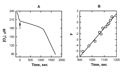  The effect of addition of 10 μM SkQ1H2 on the kinetics of oxygen consumption during the oxidation of 2.6 mg mL-1 cardiolipin 50 mM micellar solution of 50 mM Triton X-100 in 50mM phosphate buffer, pH 7.40, 37 °C, initiated by 3 mM AAPH. Arrow shows the moment when SkQ1H2 was added. 