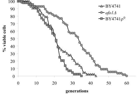 Lifespans of isogenic strains afo1Δ, wild type BY4741 and BY4741 ρ0. Lifespans were determined as described previously [2] by micromanipulating daughter cells and counting generations of at least 45 yeast mother cells on synthetic complete (SC) media with 2% glucose as carbon source. 