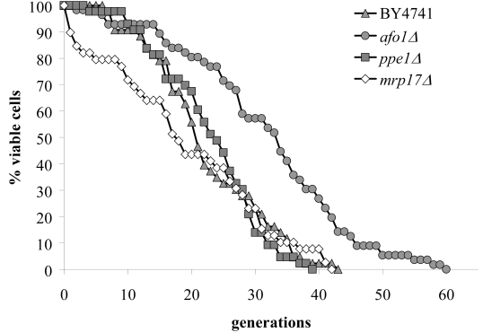  Lifespans of the strains deleted for ppe1 and mrp17. The single deletion strains for YKL003C (encoding for Mrp17p) and YHR075C (encoding for Ppe1p), both of the mitochondrial ribosomal small subunit, were tested for their lifespan. The strains were constructed in the BY4741 background. The measured lifespans were not significantly different from wild type (p