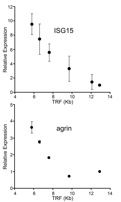 Up-regulation of gene expression with telomere shortening in human fibroblasts