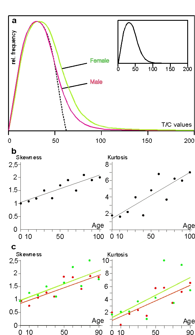 Erratic extensive elongation (EEE) of single telomeres in peripheral lymphocytes