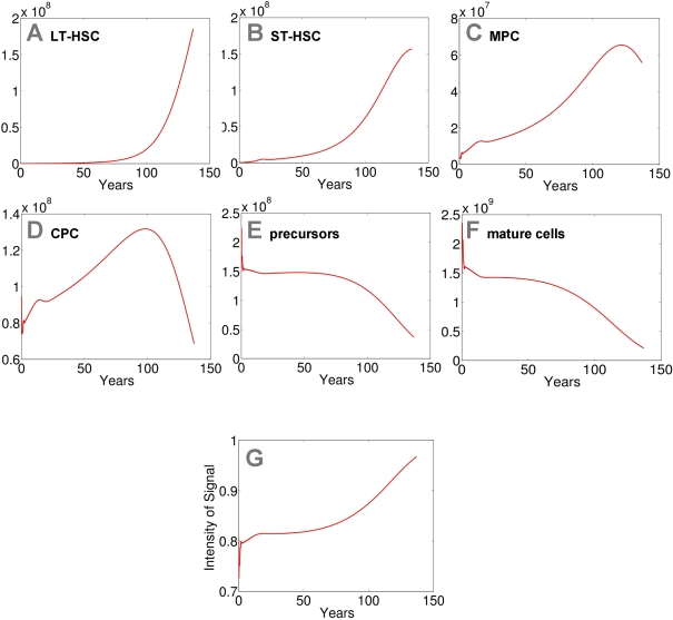 Modeling of replicative senescence in hematopoiesis