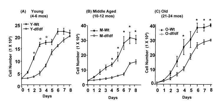 Growth curves of young (3-4 mos), middle aged and old (20-24 mos) wild-type and Ames dwarf fibroblasts