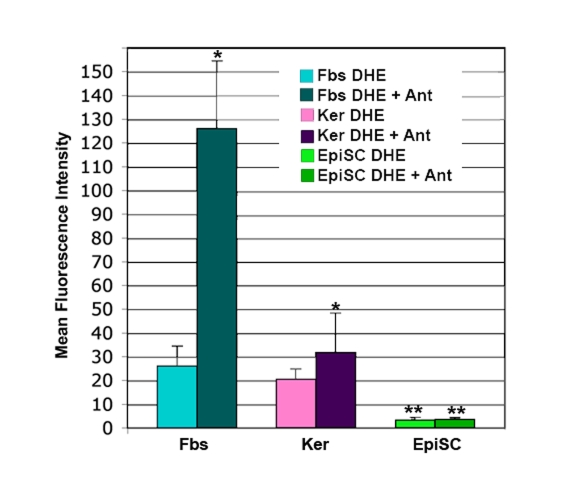 DHE staining of superoxide in skin cells