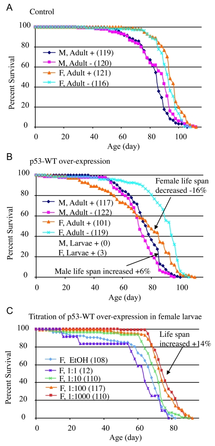 Conditional over-expression of wild-type p53 trans-genes using Geneswitch system