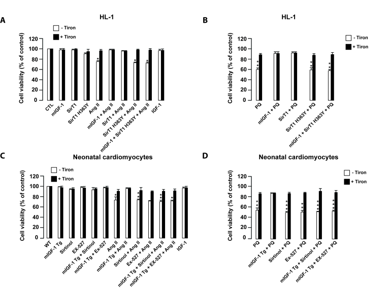 mIGF-1 prevents Ang II- and PQ-dependent cell death in HL-1 cardiomyocytes and in mouse neonatal primary cardiomyocytes