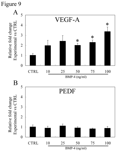 Effect of BMP-4 treatment on gene expression of VEGF-A and PEDF in polarized RPE