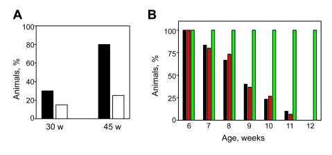 Effects of continuous administration of NAC on development of eye pathology and muscle strength