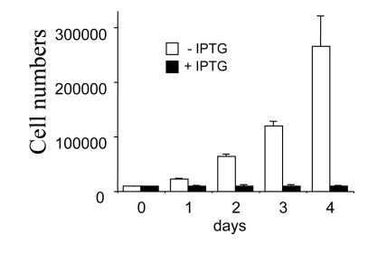 Inhibition of cell proliferation by IPTG