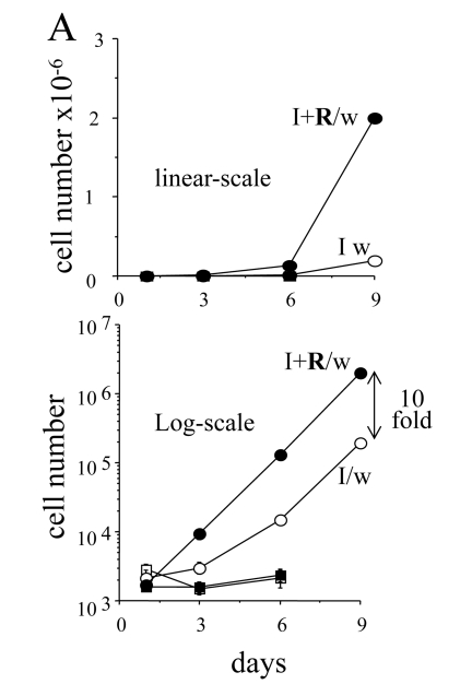 The dynamics of cell numbers