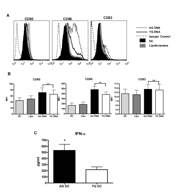 DNA from aged subjects is more immunogenic than DNA from young subjects