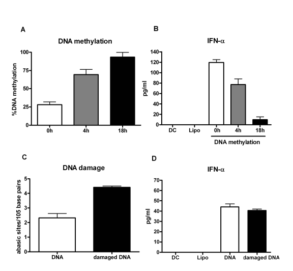 Immunogenicity of mammalian DNA correlates inversely with DNA methylation