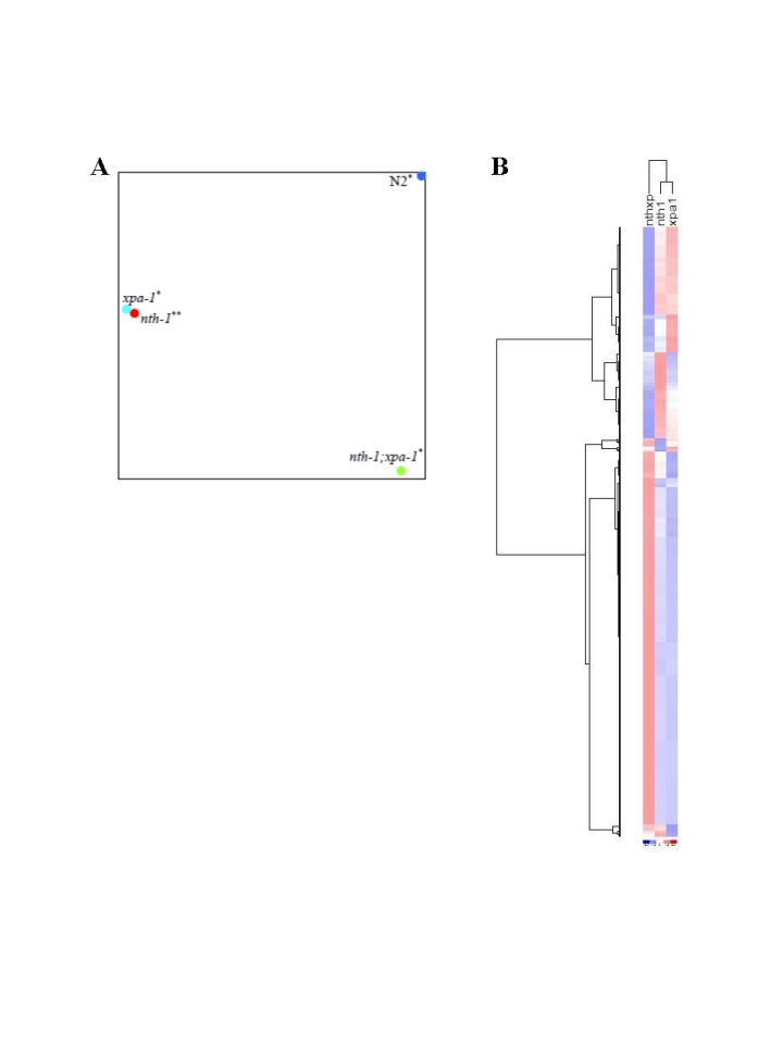 Comparative analyses of transcriptomes in DNA repair mutants