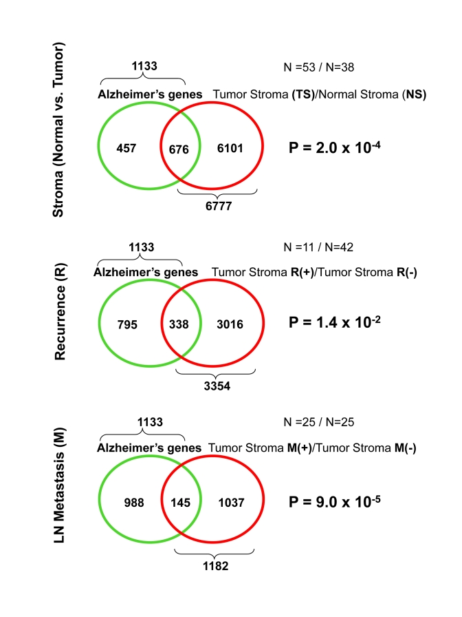 Venn diagrams for the transcriptional overlap between Alzheimer's disease brain and tumor stroma from breast cancer patients