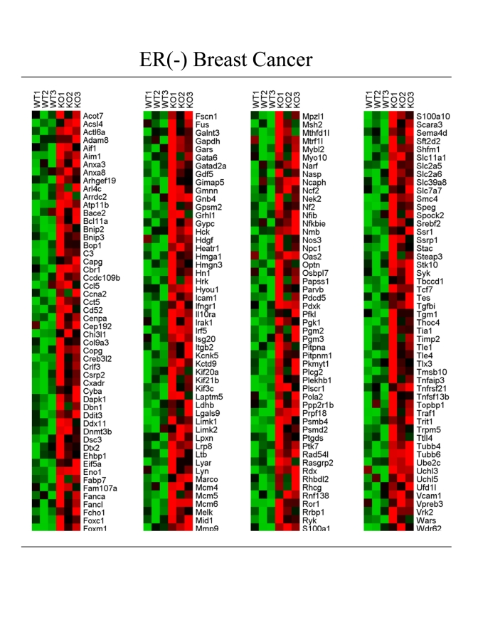 Transcriptional overlap of the Cav-1 (-/-) stromal gene set with ER-negative breast cancer