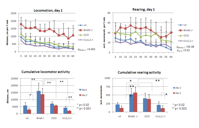  Exploratory activity of wild type and circadian mutant mice. (Upper panel) Locomotor and rearing activity measured in 5 min increments during 1 hr on day1 for wt (diamonds), Bmal1-/- (squares), Clock/Clock (triangles) and Cry1,2-/- (crosses) mice. Statistically significant difference with wt activity is shown as p values. Difference between wt, Clock/Clock and Cry1,2-/- locomotor activities, and between rearing activities of Bmal1-/- vs. Clock/Clock and wt vs. Cry1,2-/- is not statistically significant. (Lower panel) Cumulative traveled distance and rearing activity on days 1 and 2; For upper panels p values of statistically significant differences between wild type and circadian mutants are indicated. For lower panels * P