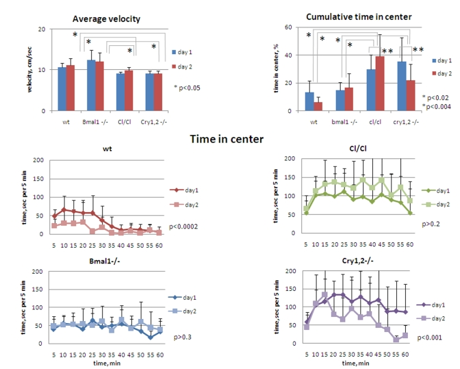  Circadian mutant mice do not demonstrate anxiety phenotype. (Upper panel, left) Average horizontal velocity for all genotypes measured during 1h on days 1 and 2. Average velocity does not significantly differ between wt and Bmal1-/- animals; slight (~15%) but statistically significant decrease in average velocity is detected for Clock/Clock and Cry1,2-/- mice compared with wt and Bmal1-/-. (Upper panel, right) Cumulative time spent in the center for all genotypes measured during 1 hr on days 1 and 2. (Lower panel) Time spent in the center square of the open field arena on days 1 and 2 by wt, Clock/Clock, Bmal1-/-, and Cry1,2-/- mice. *P