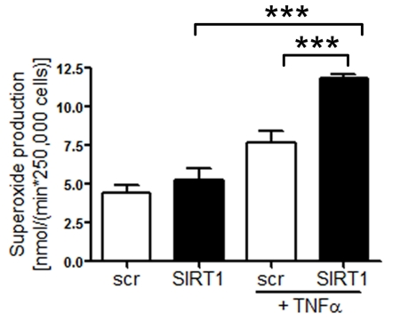  Superoxide production is increased in HAECs after SIRT1-siRNA compared with scrambled-siRNA-treatment 1 h after TNFα stimulation. n=2. ***p