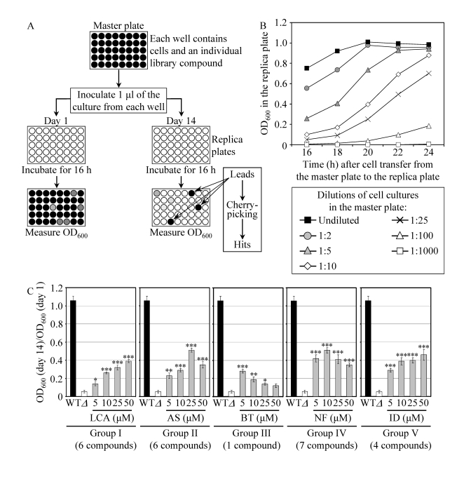 A high-throughput screen of compound libraries for small molecules that extend the CLS of yeast under CR conditions