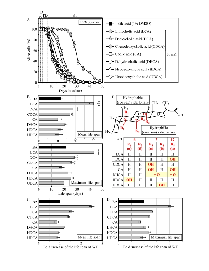 LCA and some other bile acids extend the CLS of WT strain under CR conditions