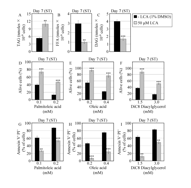 In chronologically aging WT yeast that entered the non-proliferative stationary (ST) phase under CR, LCA alters the levels of lipids and protects cells from lipid-induced necrotic death