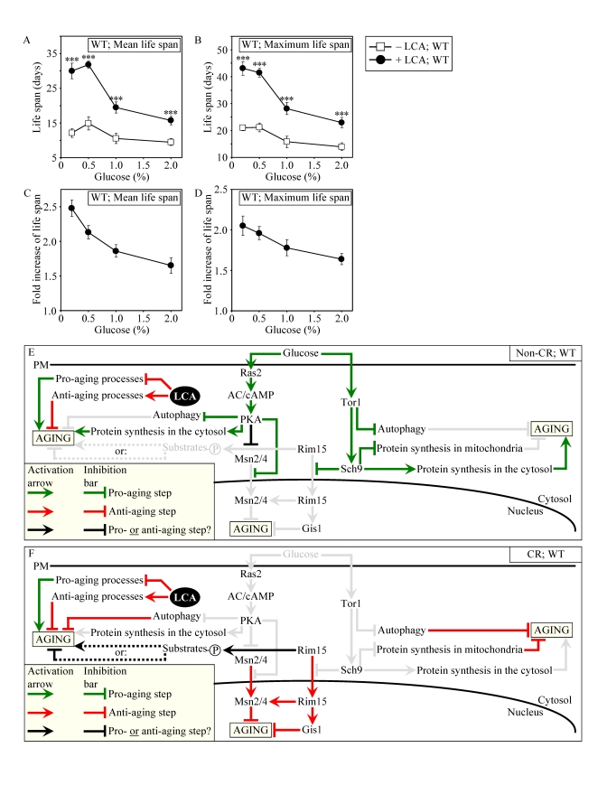 LCA increases the CLS of WT strain to the highest extent under CR conditions