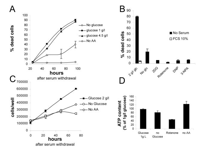  (A) Survival assay displaying progressive loss viability of nutrient-repleted Phoenix cells in serum free medium, and protection by either glucose or aminoacid deprivation. Values are Mean±SD of triplicate samples from one of several independent experiments. (B) Effect of metabolic inhibitors on cell death by serum deprivation in nutrient-rich medium. Death in the presence of serum was marginal, not affected by inhibitors and is therefore displayed only for the 2 g/l glucose sample. Extent of cell death in the absence of glucose is also reported. Values are Mean±SD of triplicate samples. Panel representative of several independent experiments with very similar results. (C) Growth curves for Phoenix cells grown in the absence of serum with or without nutrients. Numbers refer to live cells, based on morphological features and trypan blue exclusion. Values are Mean±SD of triplicate samples. Panel representative of two independent experiments. (D) Determination of ATP content in cells incubated for 24 hours in the indicated conditions. Values are % of the control (1 g/l glucose + aminoacids) sample. Chemiluminescence values were normalized for protein content of the different samples. Representative of two independent experiments. 