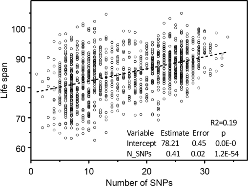 The “genetic dose - phenotypic response” relationship between the numbers of selected 39 longevity alleles contained in individuals' genome and mean life span obtained in the analyses of 550K SNP data on participants of the original FHS cohort. Regression analyses were performed using SAS PROC REG (© SAS Institute, Inc.) with correction for heteroscedasticity.