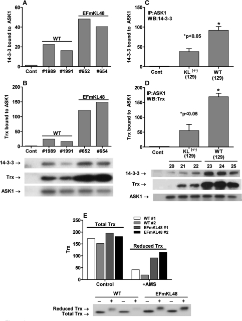 Binding of 14-3-3 and Trx to ASK1 is part of the inhibitory ASK1-signalosome complex