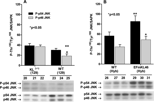 Western blot analysis of the phosphorylation of the p46- and p54-JNK