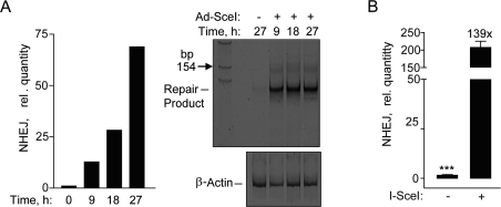 Repair by NHEJ monitored by genomic DNA qPCR