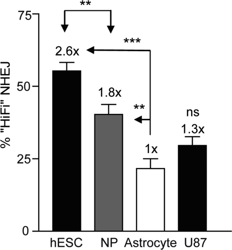 High-fidelity NHEJ decreases through differentiation