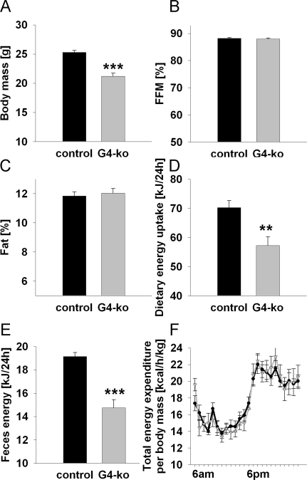 Impaired telomerase activity - Effects on body mass, body composition and energy expenditure