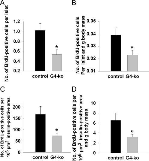 Impaired telomerase activity reduces islet number and size by impairing the replicative potential of pancreatic beta-cells