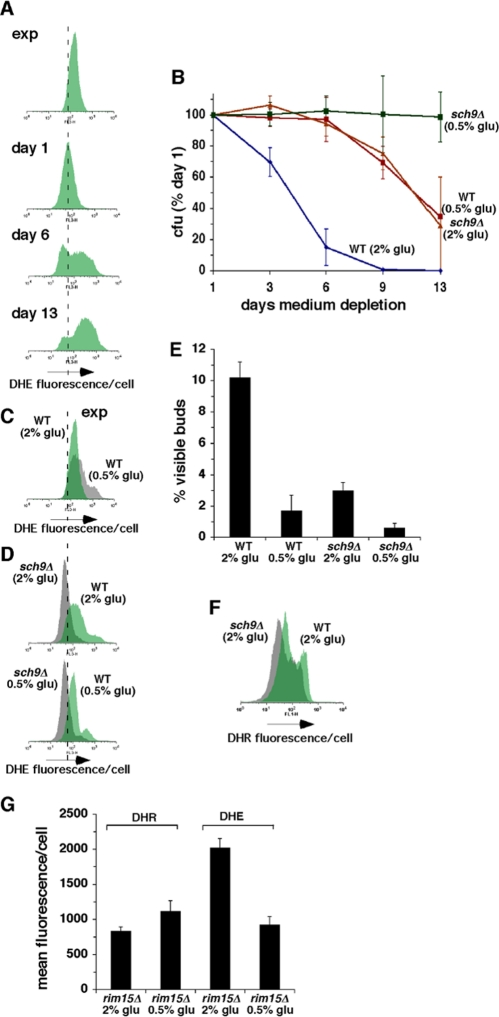 Inhibition of growth signaling pathways prolongs CLS in concert with reduced O2- and more frequent growth of stationary phase cells in G0/G1