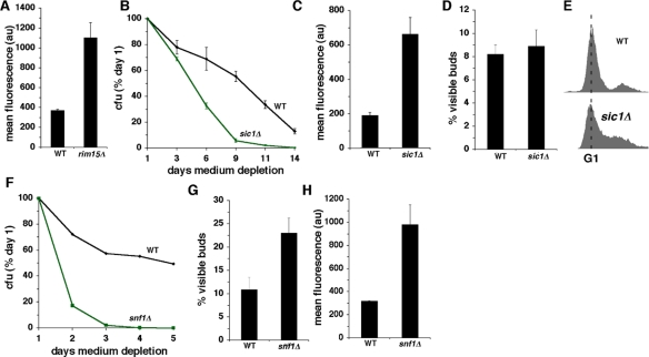 Constitutive activation of growth signaling pathways shortens CLS in concert with increased O2- and less frequent growth of stationary phase cells in G0/G1