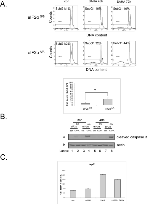 Phosphorylation of eIF2α protects against vorinostat-induced cell death