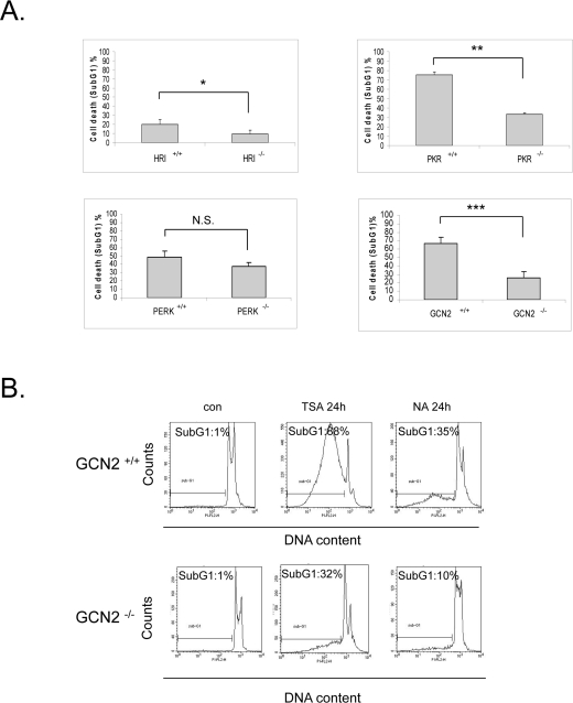 eIF2α kinases enhance sensitivity to vorinostat independently of eIF2α phosphorylation