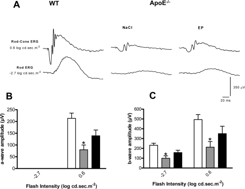 CD36 stimulation improves visual function in ApoE−/−