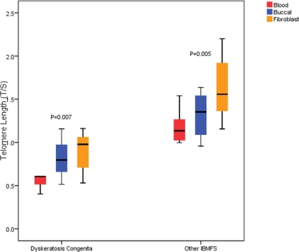 Comparison of Q-PCR blood, fibroblast and buccal cell DNA telomere length (TL) in DC patients, and patients with other IBMFS combined. Q-PCR TL (on the Y axis) is measured as a ratio of telomere copy number (T) to single copy gene (S) (T/S); p-values represent the global difference in tissues TL and obtained from Friedman test. Abbreviations: IBMFS, inherited bone marrow failure syndromes.