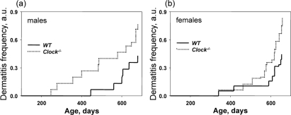 Deficiency of CLOCK results in an increased rate of dermatitis