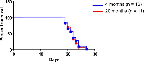 Host age does not affect survival outcome