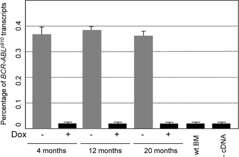 Transformed hematopoietic pro-genitor/stem cells express comparable levels of exogenous BCR-ABL