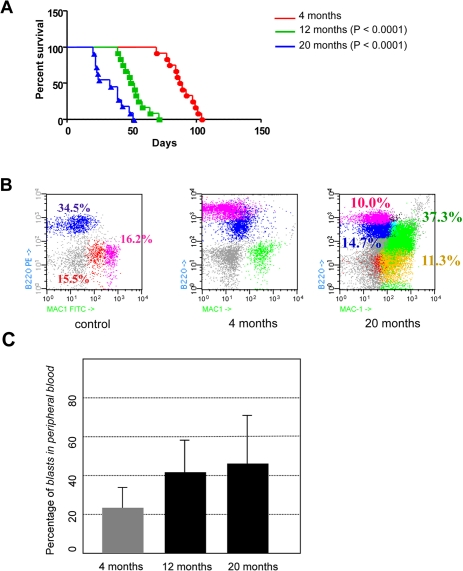 Age-dependent malignancy of transformed hematopoietic progenitor cells in vivo