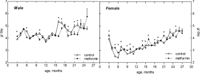 Dynamics of food consumption in male and female 129/Sv mice treated or non-treated with metformin