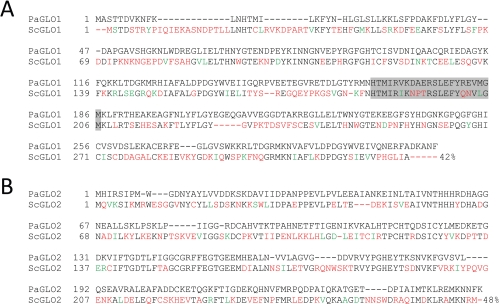 Homology analysis between P. anserina and yeast proteins of the glyoxalase system