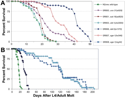 Survivals on agar of wild-type and near-isogenic mutant strains