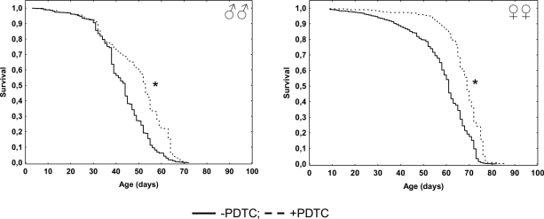 Effect of a NF-κB inhibitor (PDTC) on the survival functions